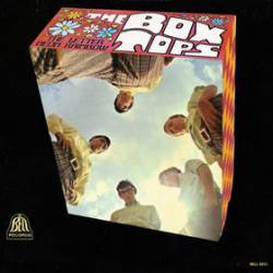 The Box Tops : The Letter - Neon Rainbow